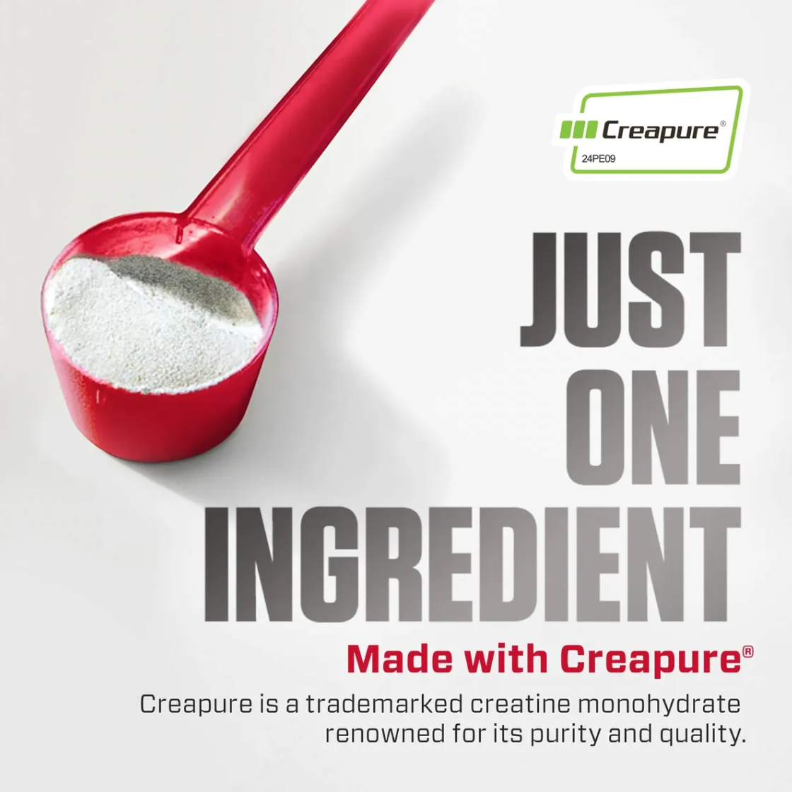 CREATINE MONOHYDRATE DYMATIZE (300G)